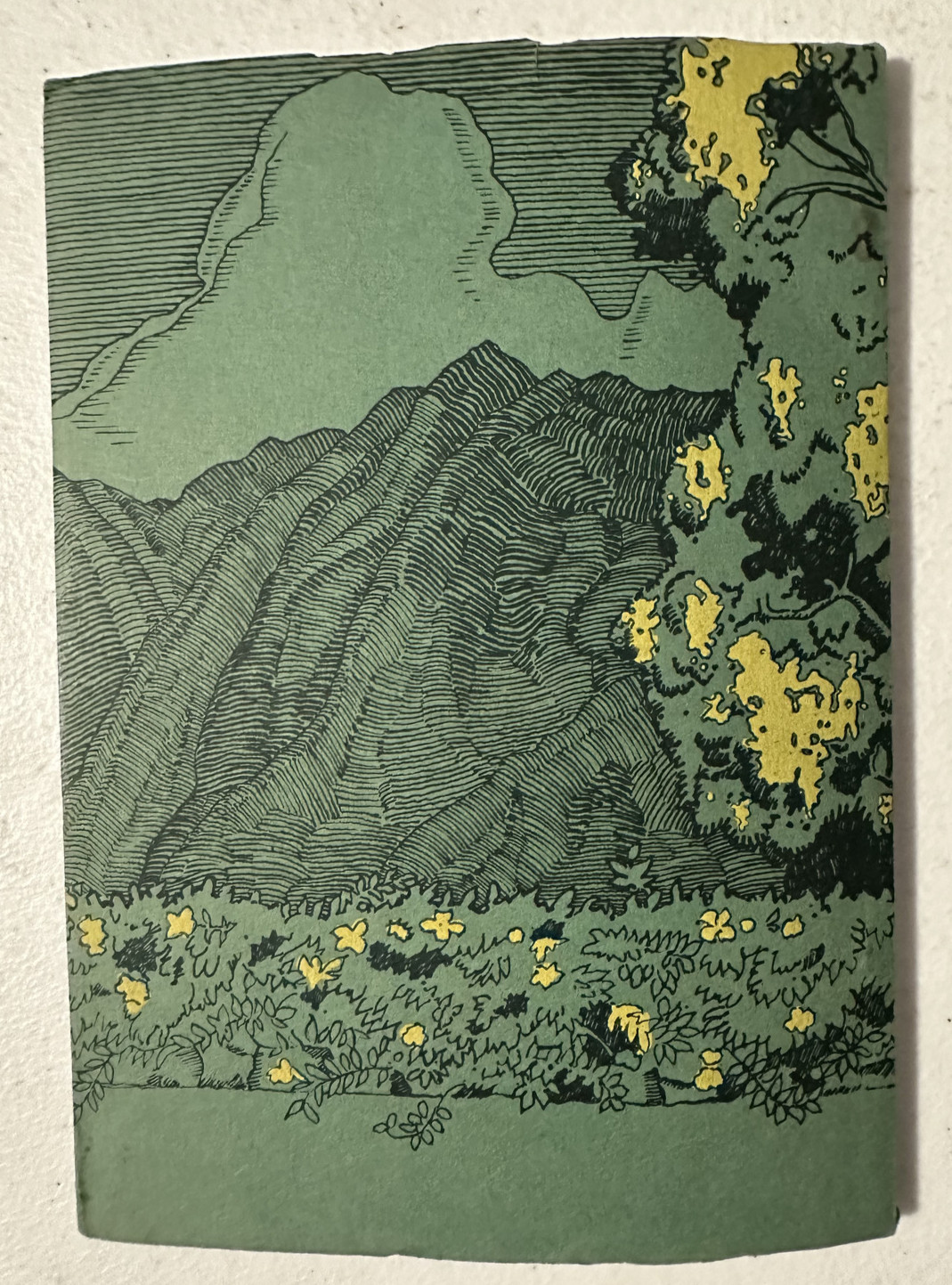 Golden Shower Maurice Hill SIGNED 1929 Hawaii Honolulu Star Bulletin John Kelly