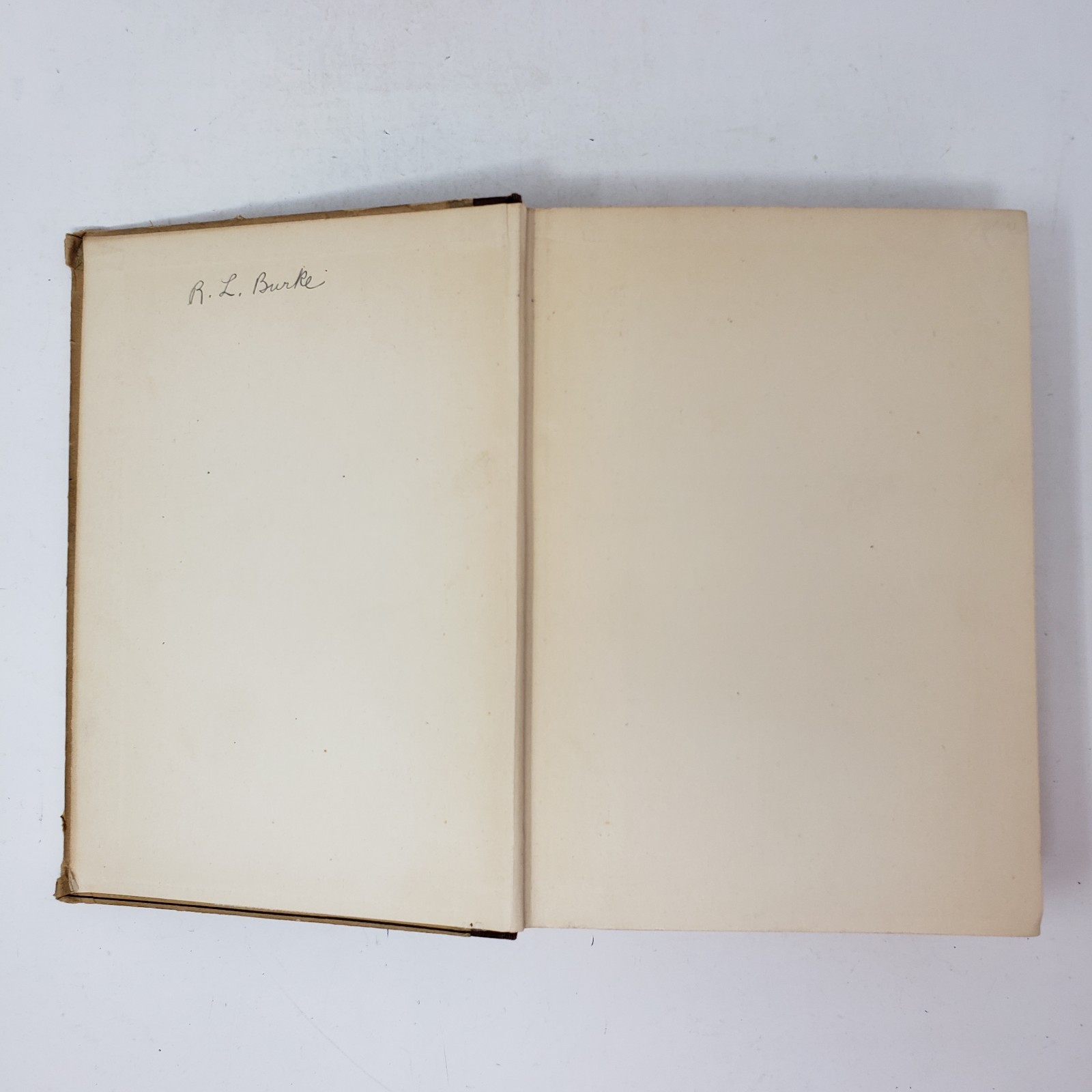 Are the Jews a Race? by Karl Kautsky (1926, Hardcover, Translated 2nd German Ed)