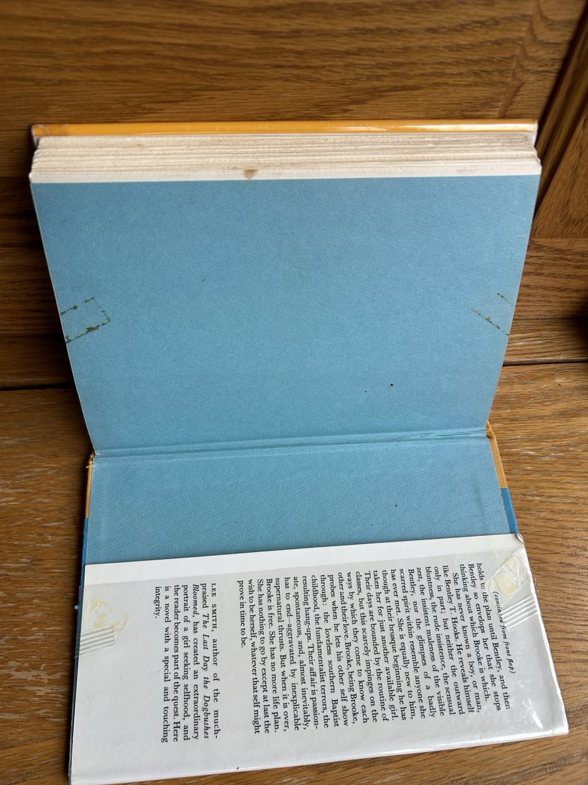 SOMETHING IN THE WIND Lee Smith 1st Edition 1971 Ex Library VGC Plastic Cover