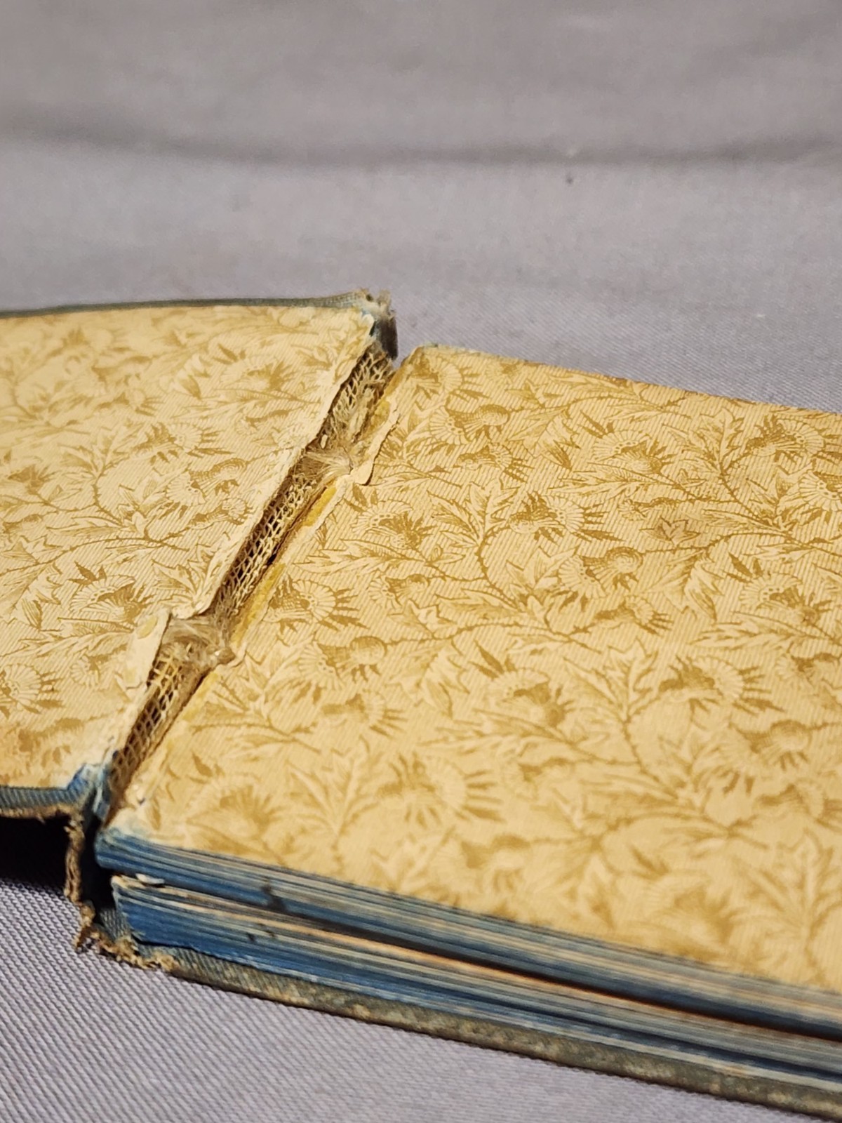 Antique 1900’s Bible Forget-Me-Nots By Morning & Night Watches Mini Book