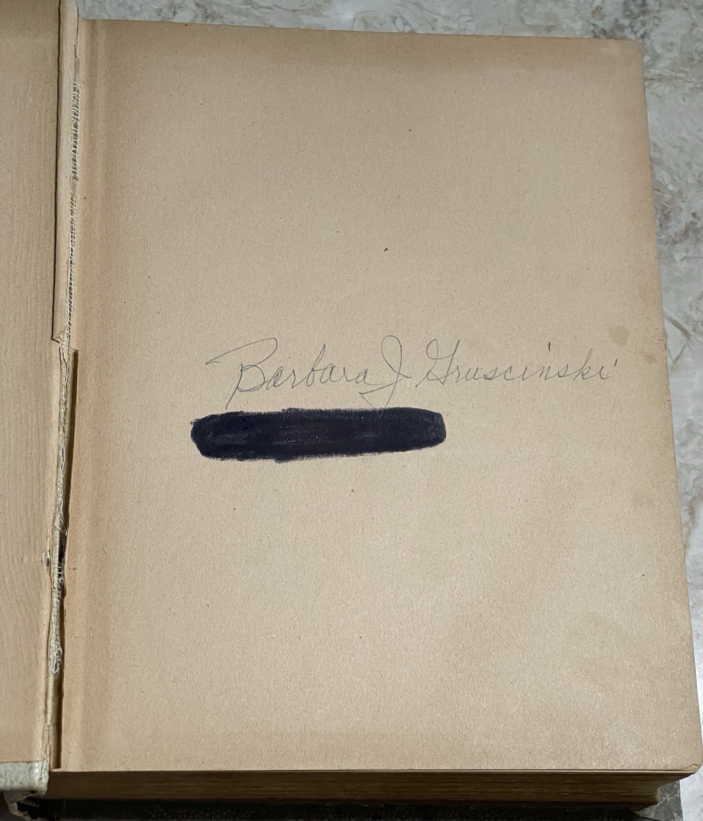 The Home Queen Cook Book 1898 Recipes Menus Housekeeping Laundry 608 Pages