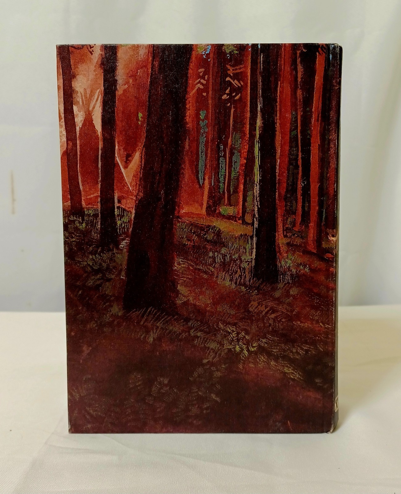 White Fang by Jack London HC Illustrated Book 1971