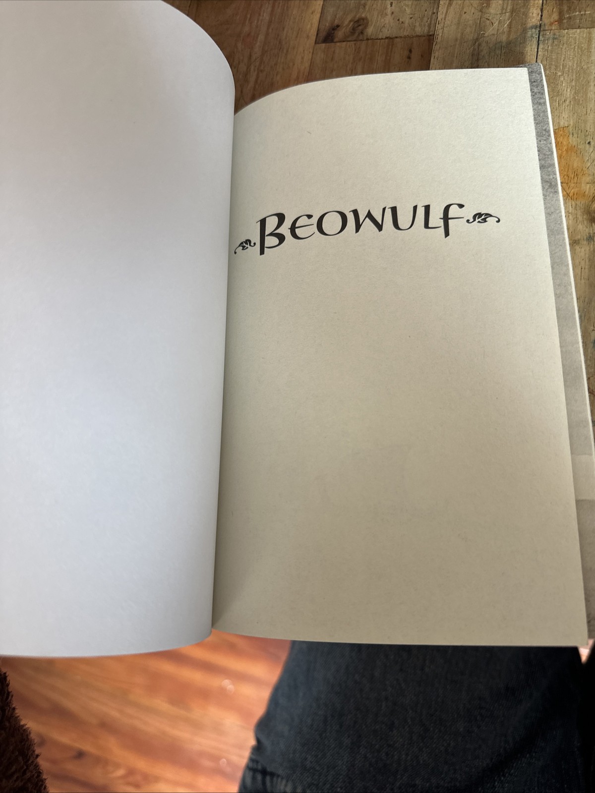 Beowulf by Michael Morpurgo (2015, Trade Paperback)