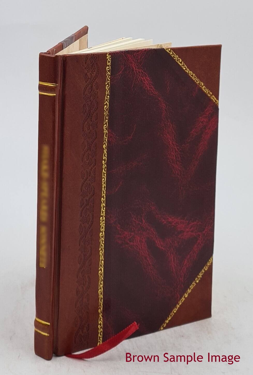 Eccentric Literature 1911 By Arthur Macdonald [Leather Bound]