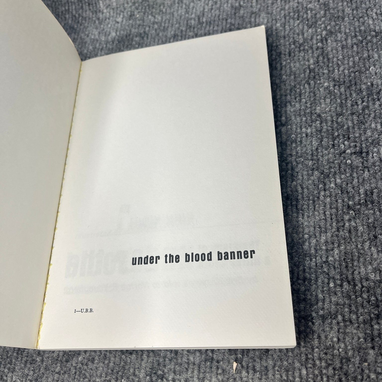 Under the Blood Banner Kreye Youngberg 1984 Hitler Youth WWII History