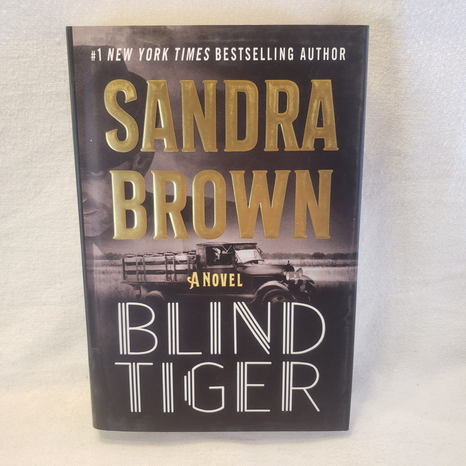2 Novels- BLIND TIGER Sandra Brown & A TERRIBLE FALL OF ANGELS, Laurell Hamilton