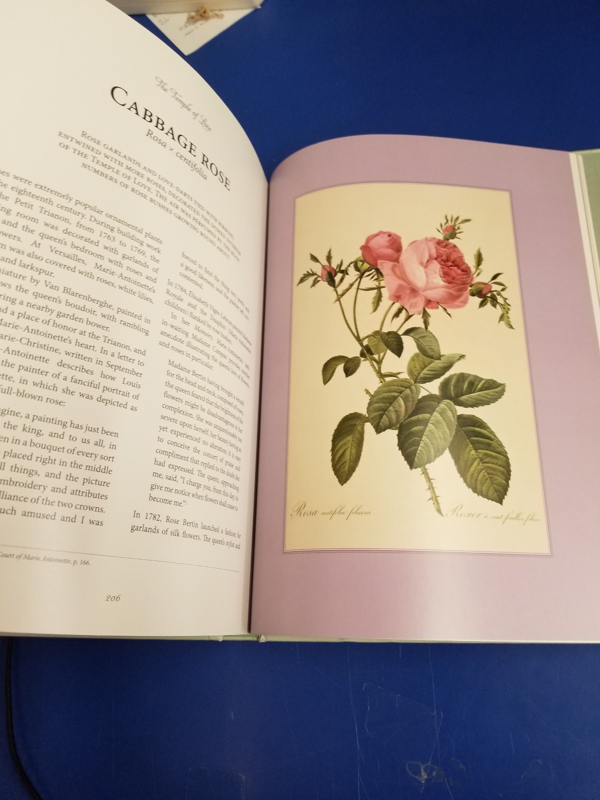 From Marie-Antoinette’s Garden