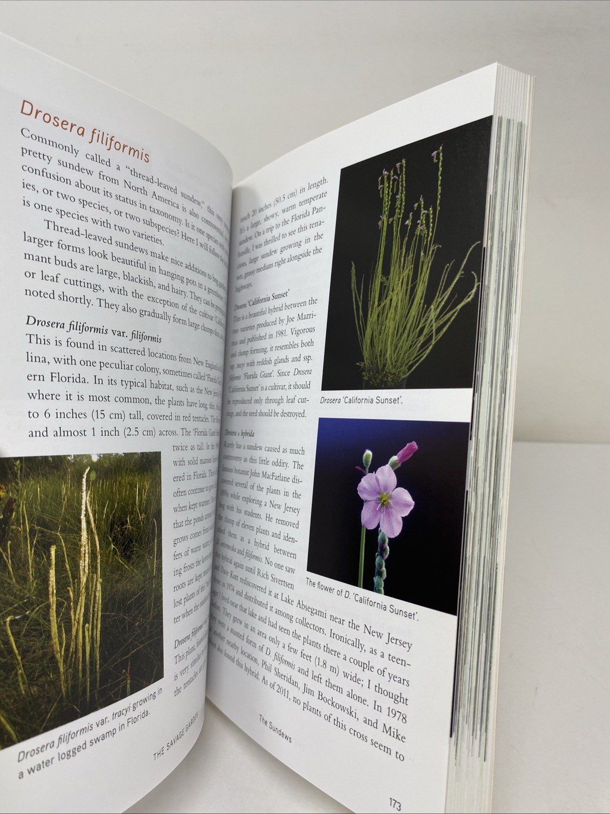 Savage Garden Revised Edition Carnivorous Plants Paperback Clean Pages