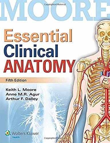 Moore Essential Clinical Anatomy – Paperback, by Moore Keith L. – Acceptable c