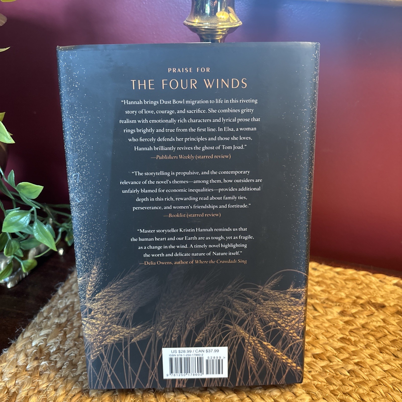 The Four Winds: A Novel HC New! Never Read
