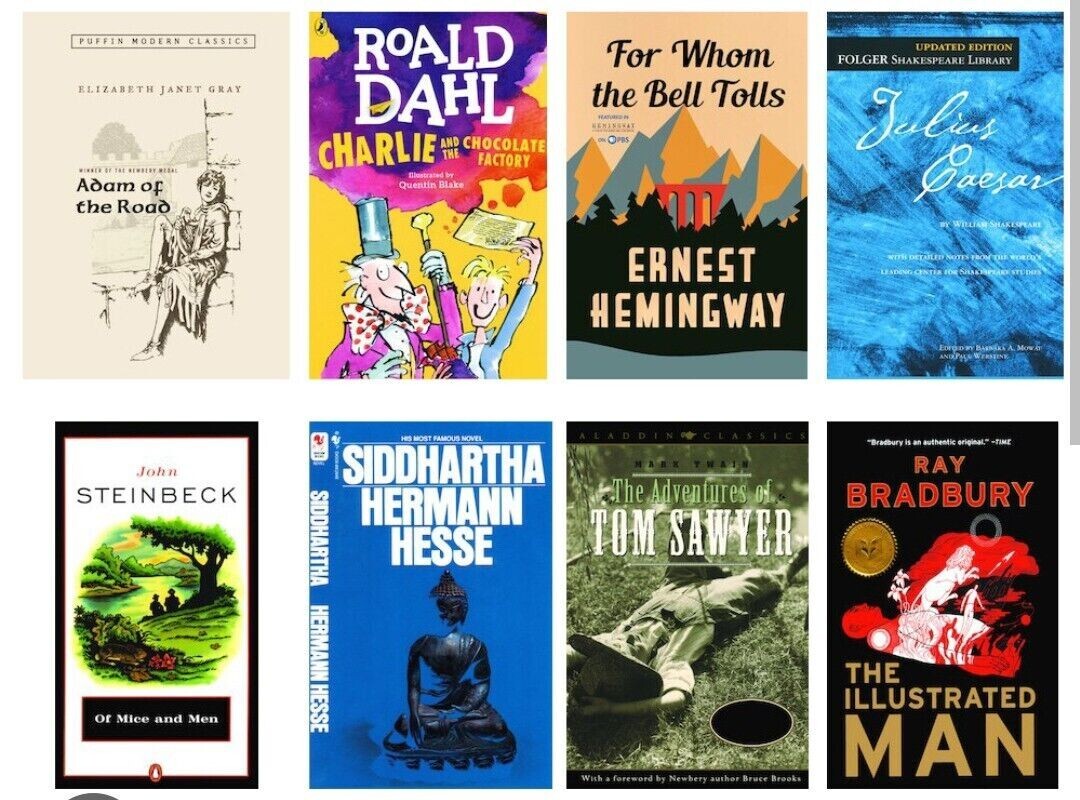 📚💫 Lot of 18 Classic Literature Works – Legendary Books for Book Lovers!