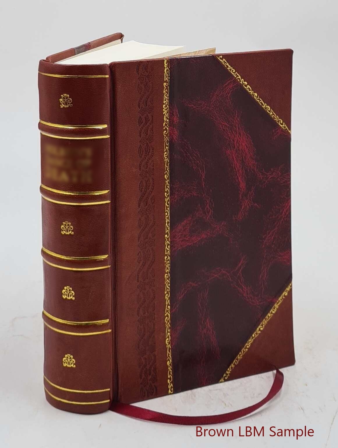 American Lumbermen The Personal History And Public And Business [Leather Bound]