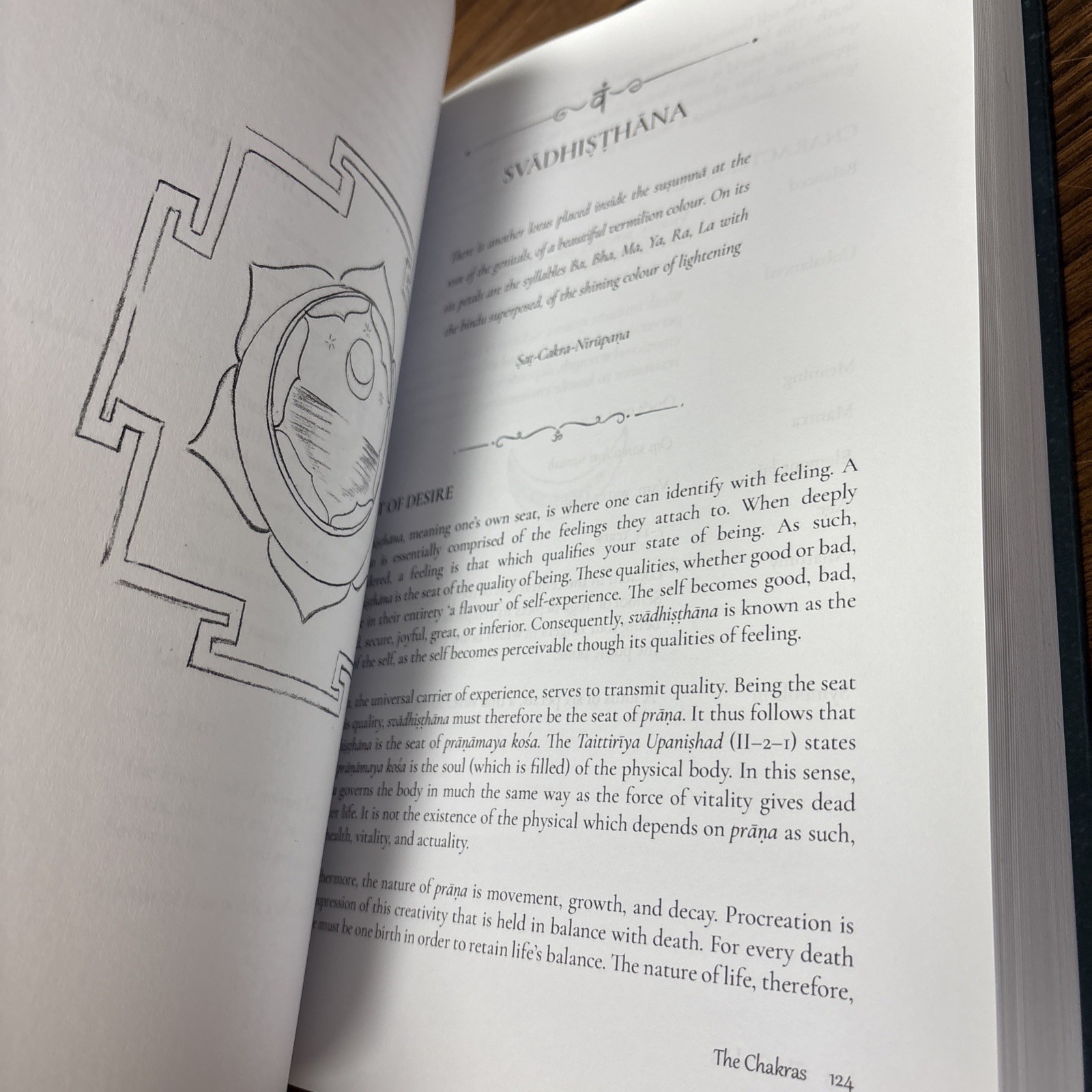 Light on History, Philosophy and Practice of Kundalini and Hatha Yoga Biedrawa
