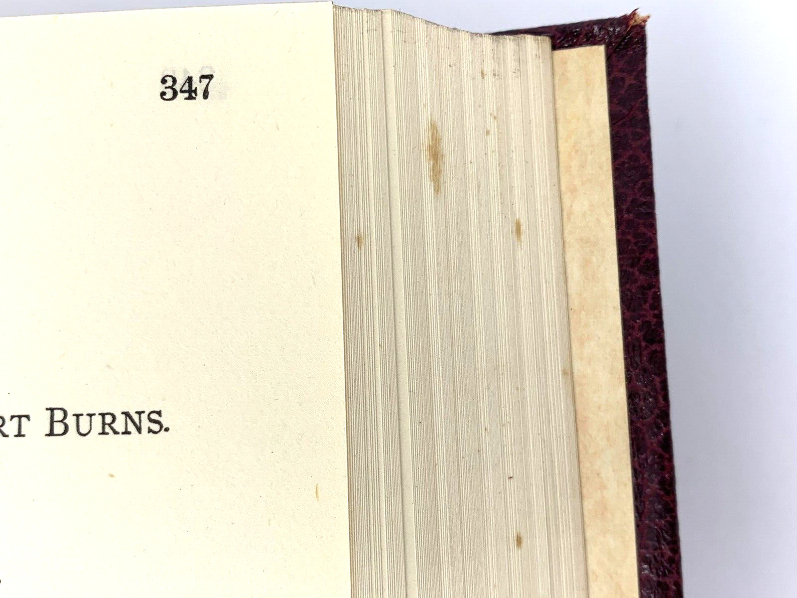 Poetical Works of Burns (Faux?) Leather Bound in Slip Case Wm. Collins Sons