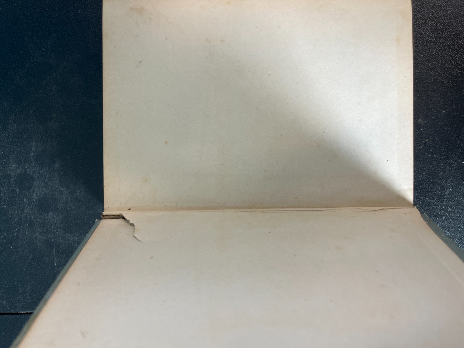 The Great War on White Slavery – Clifford G. Roe – Illustrated 1911 HC