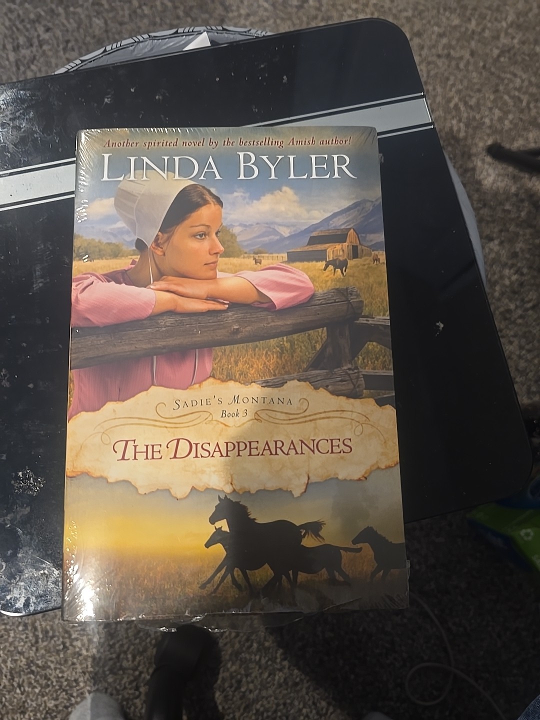 Disappearances : Another Spirited Novel by the Bestselling Amish Author! by…
