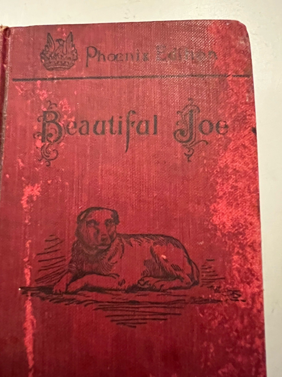 1902 Antique Book, Beautiful Joe, by Marshall Saunders, Phoenix Edition