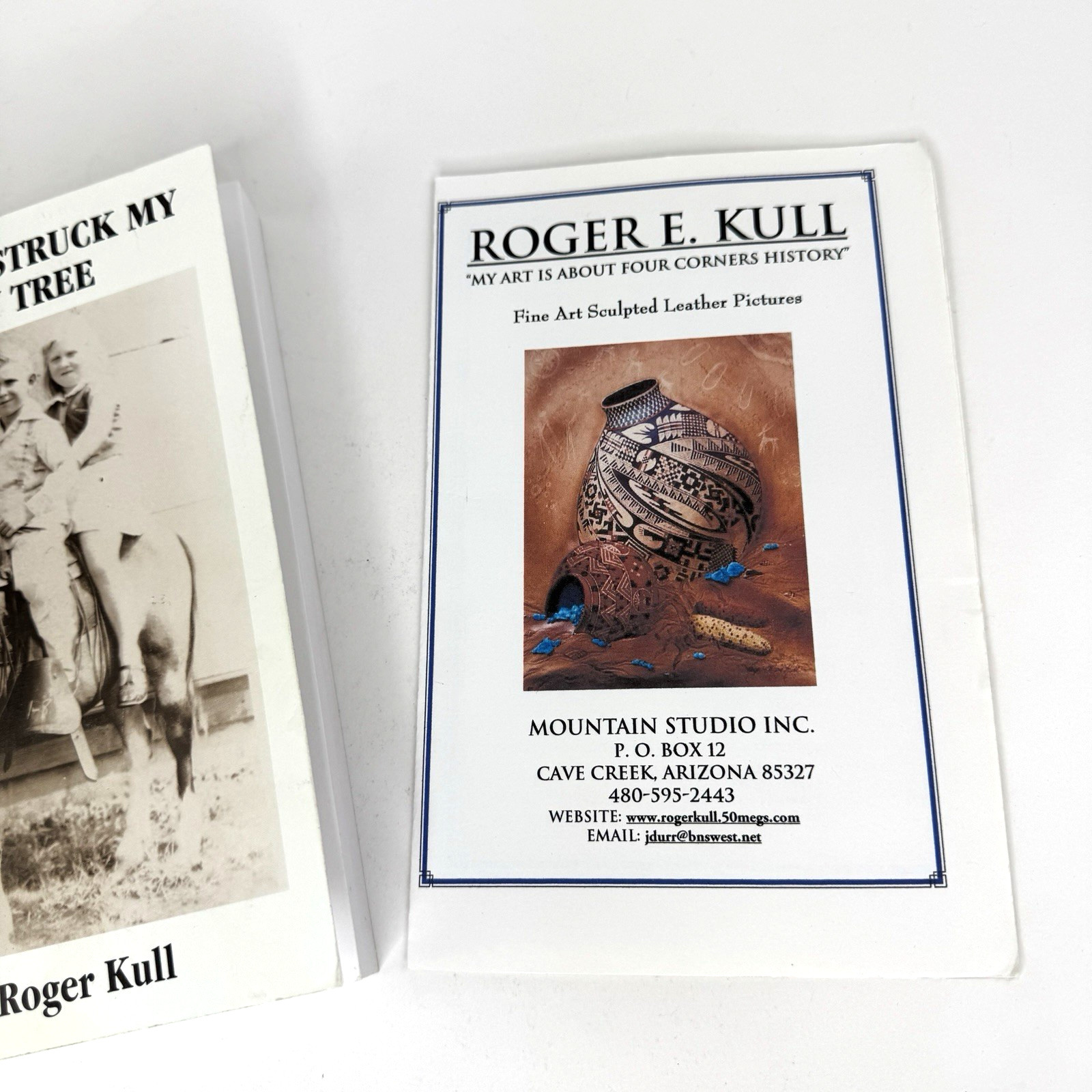 Lightning Struck My Family Tree by Roger Kull Signed 1st Edition 2002