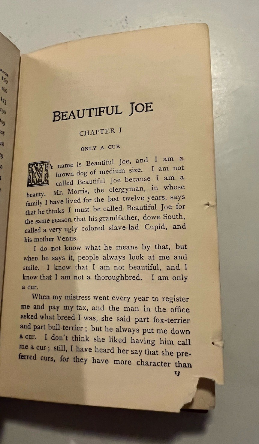 1902 Antique Book, Beautiful Joe, by Marshall Saunders, Phoenix Edition