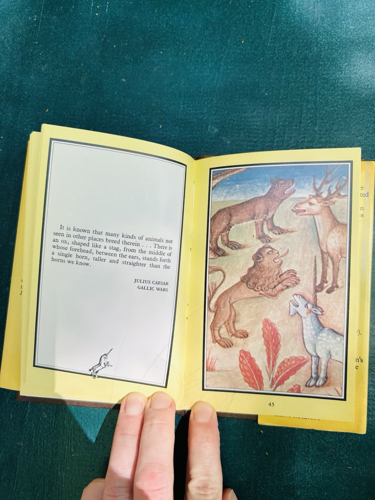 Vintage Gift Book Unicorns A.W.H. Allen 1981
