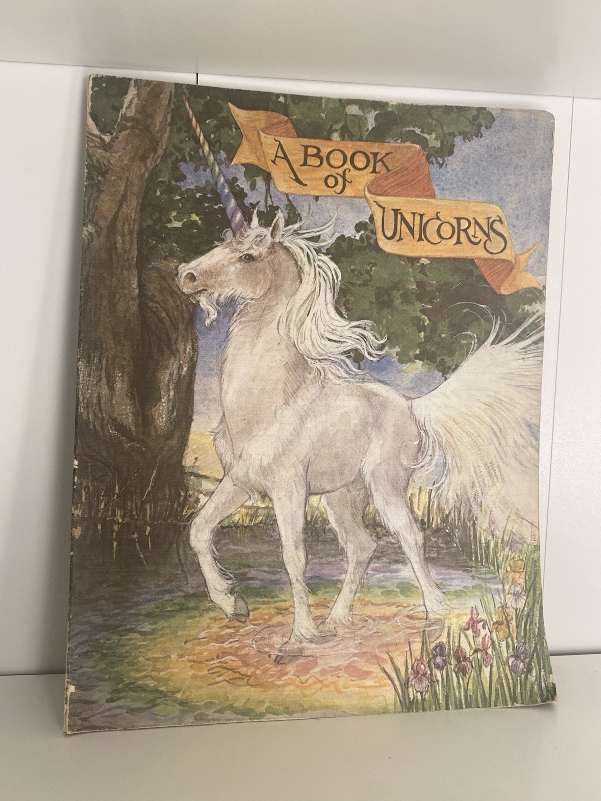 A Book Of Unicorns Paperback Green Tiger Press W/ 12 Removable Art Prints 1978