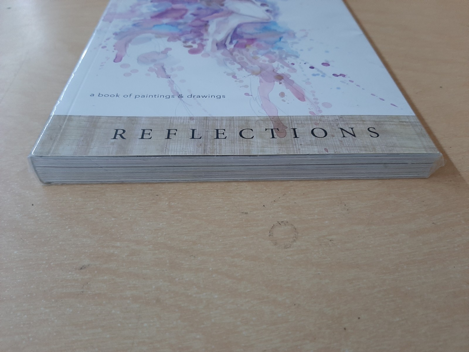 Reflections: A Book of Paintings and Drawings  |  David Alan Mack TPB