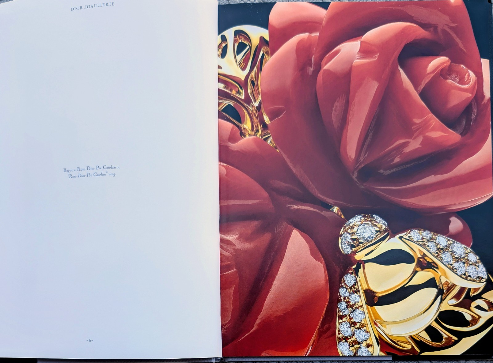 DIOR JOAILLERIE (2013) Hardcover/Color 67 Page Coffee Table Book ~ 12.25″ x 9.5″