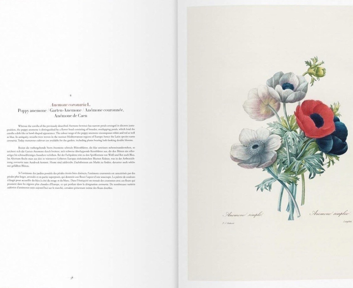 New Sealed Pierre-Joseph Redoute Selection Most Beautiful Flowers Taschen 2015
