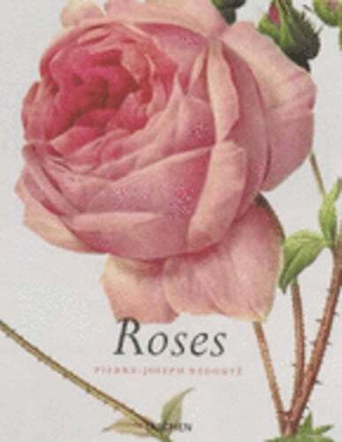 Roses by Pierre Joseph Redoute: Used