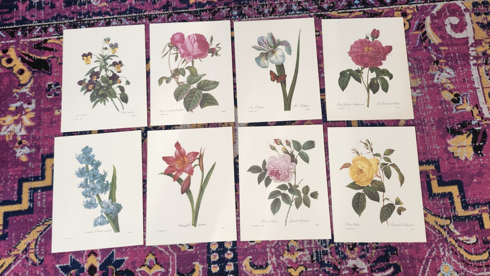 Pierre Joseph Redoute «Flowers A Portfolio of Full Color Prints» Incomplete Set