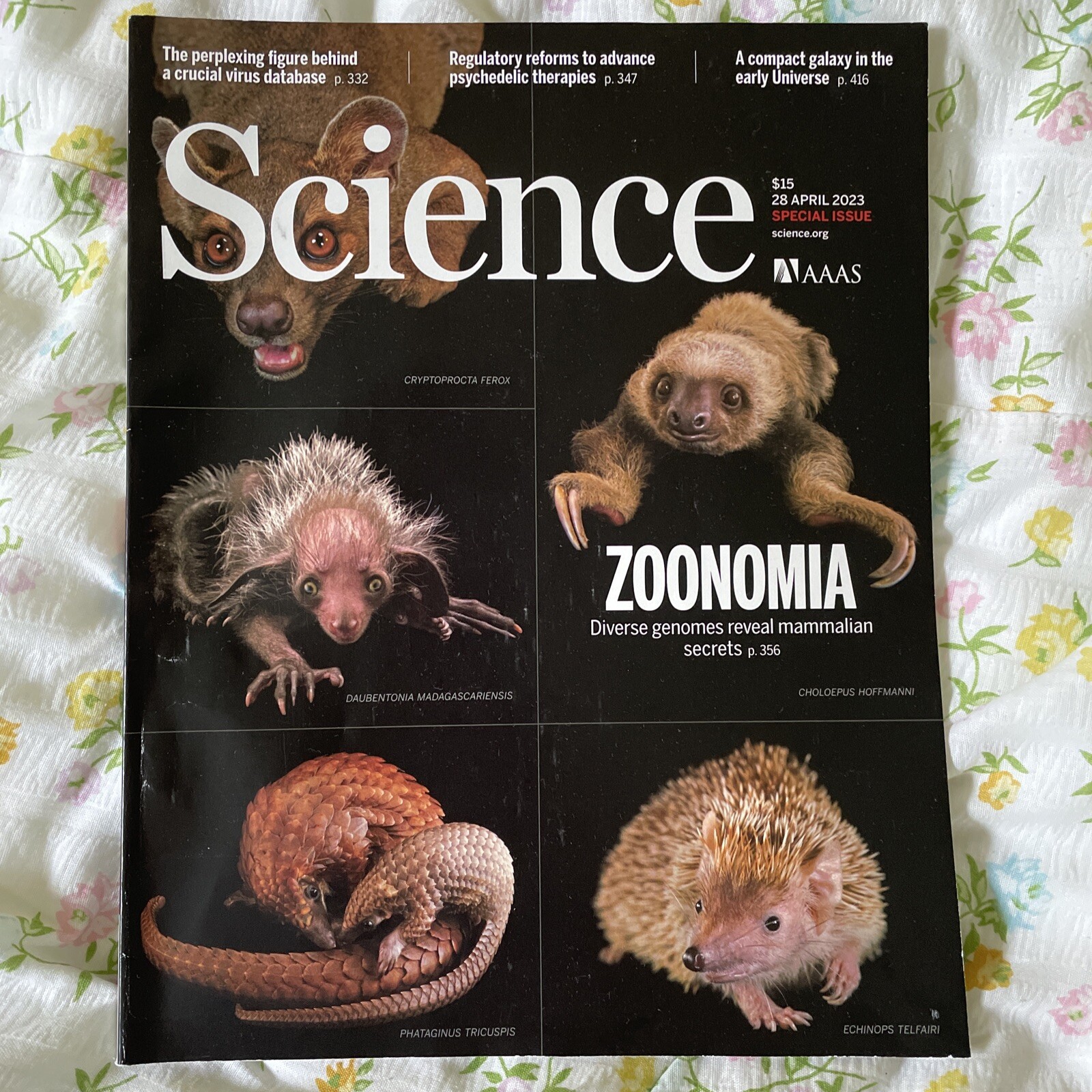 AAAS SCIENCE MAGAZINE 4/28/2023 Vol. 380, No. 6643, Pages 317-424