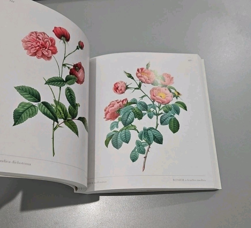 Roses: Mini Archive with DVD Included by Redoute, Pierre-Joseph; Sowerby, James