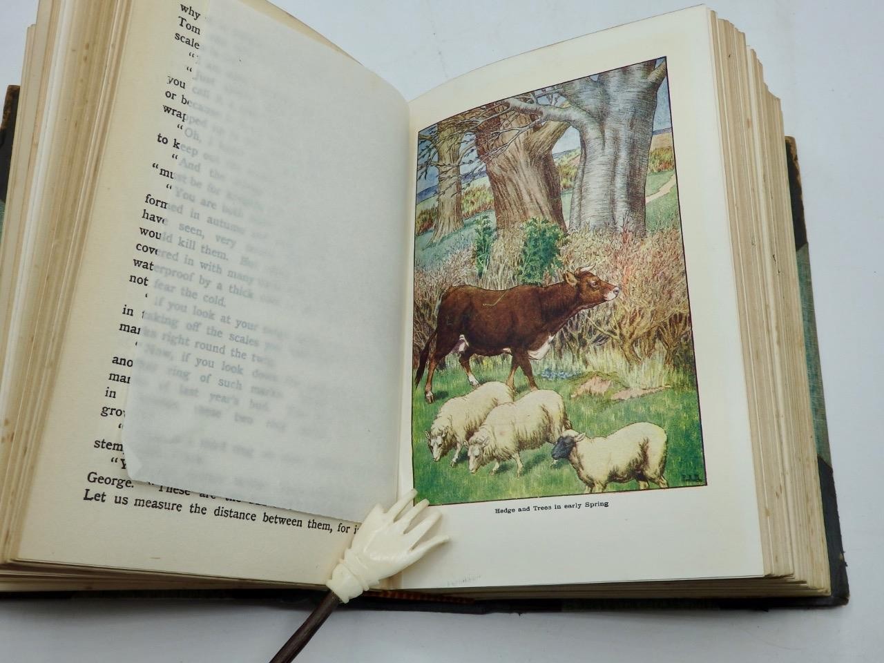 The LOOK ABOUT YOU NATURE BOOK – Books 1 to 7 in One Volume by Thomas Hoare