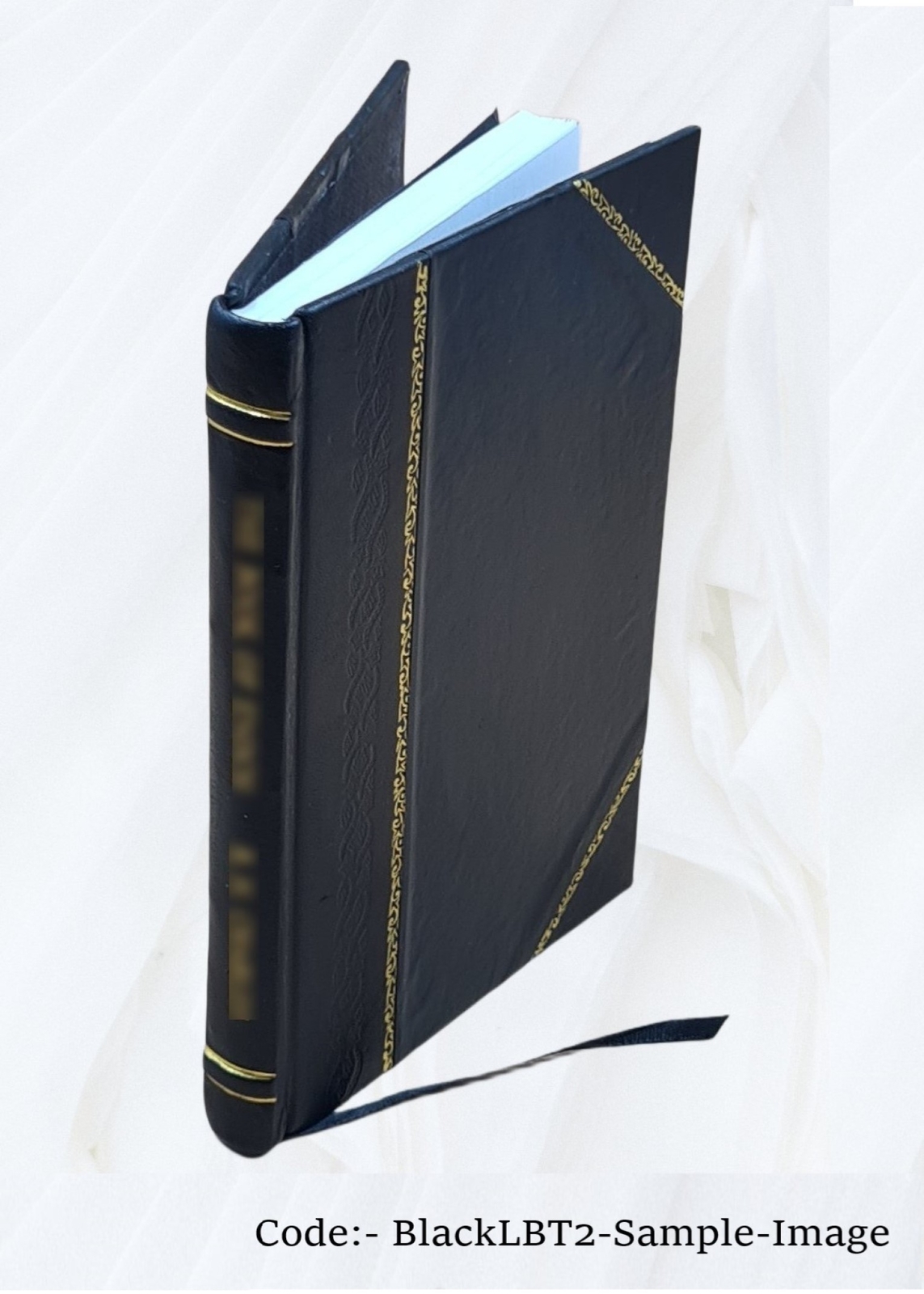Extension work among Negroes 1 V. no.190 1921 [Leather Bound]