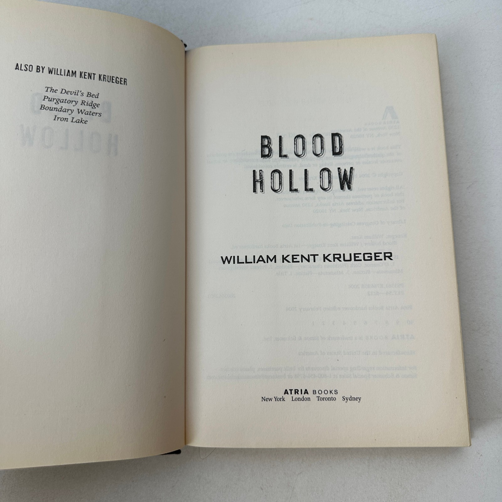 Blood Hollow by William Kent Krueger (2004, Hardcover) First Edition DJ