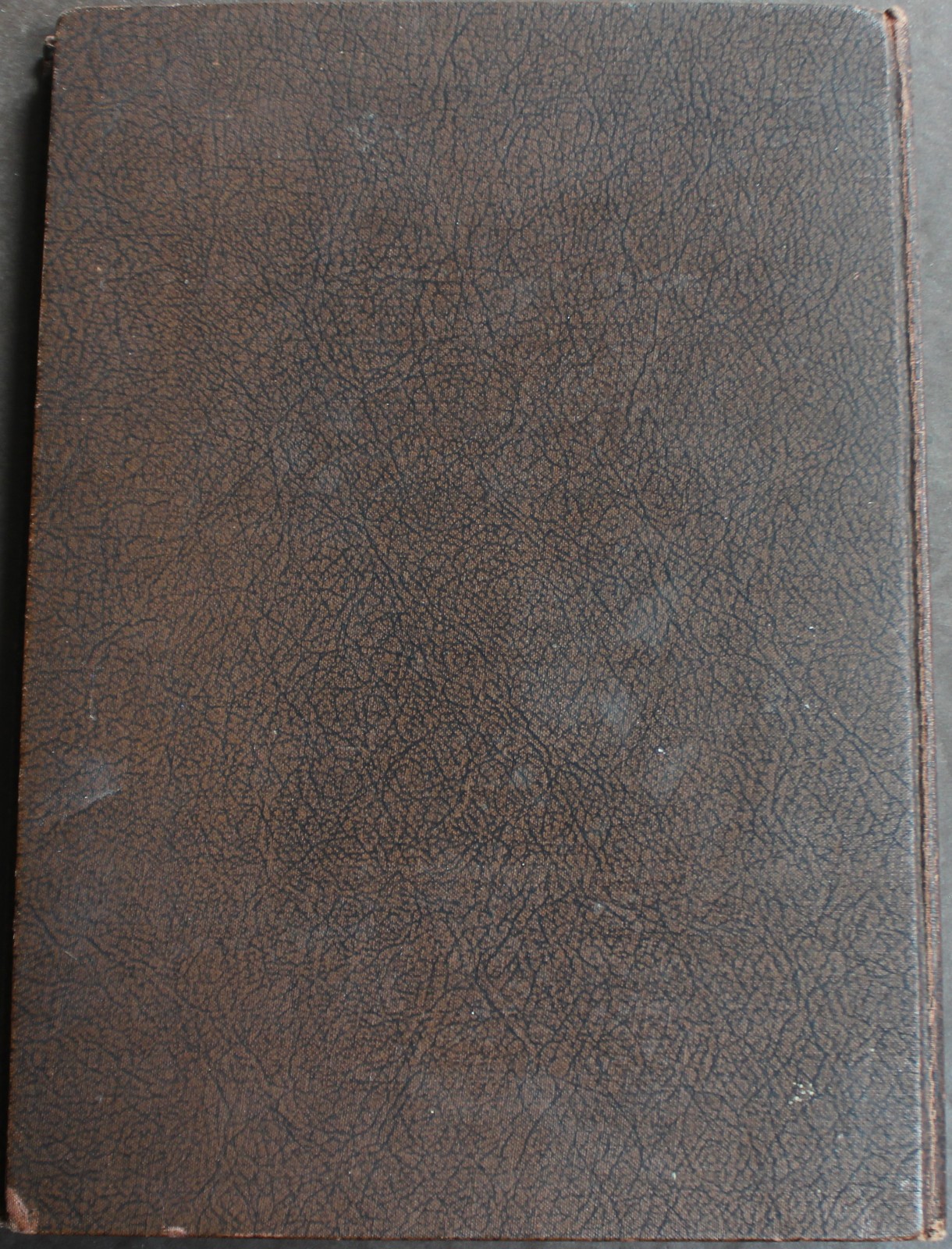 Rare Antique Old Book Chase Fruit Tree Flower Garden 1922 Vine Natural Nature ⭐