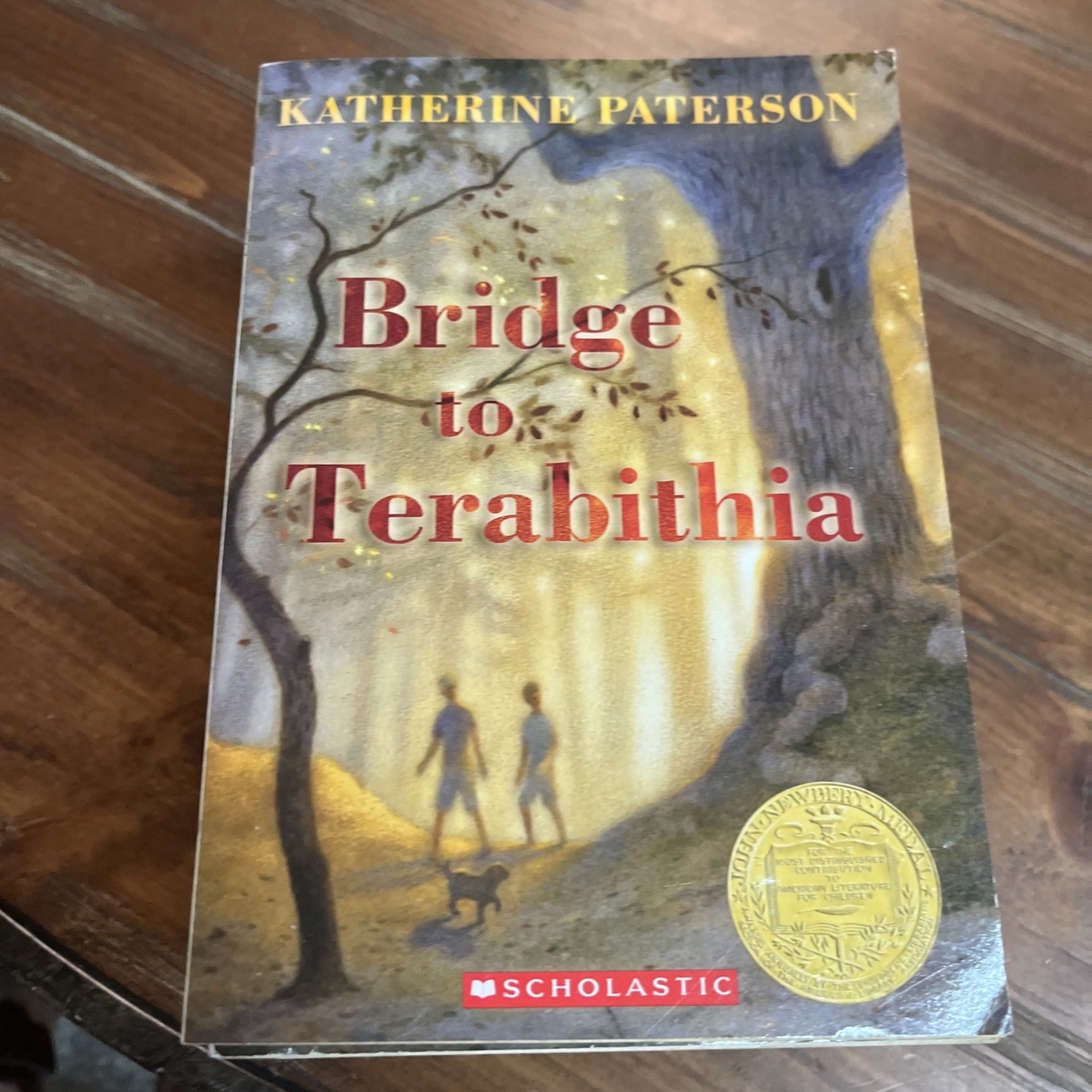 Lot Of 10 Bridge to Terabithia Books For Guided Reading Classroom Set