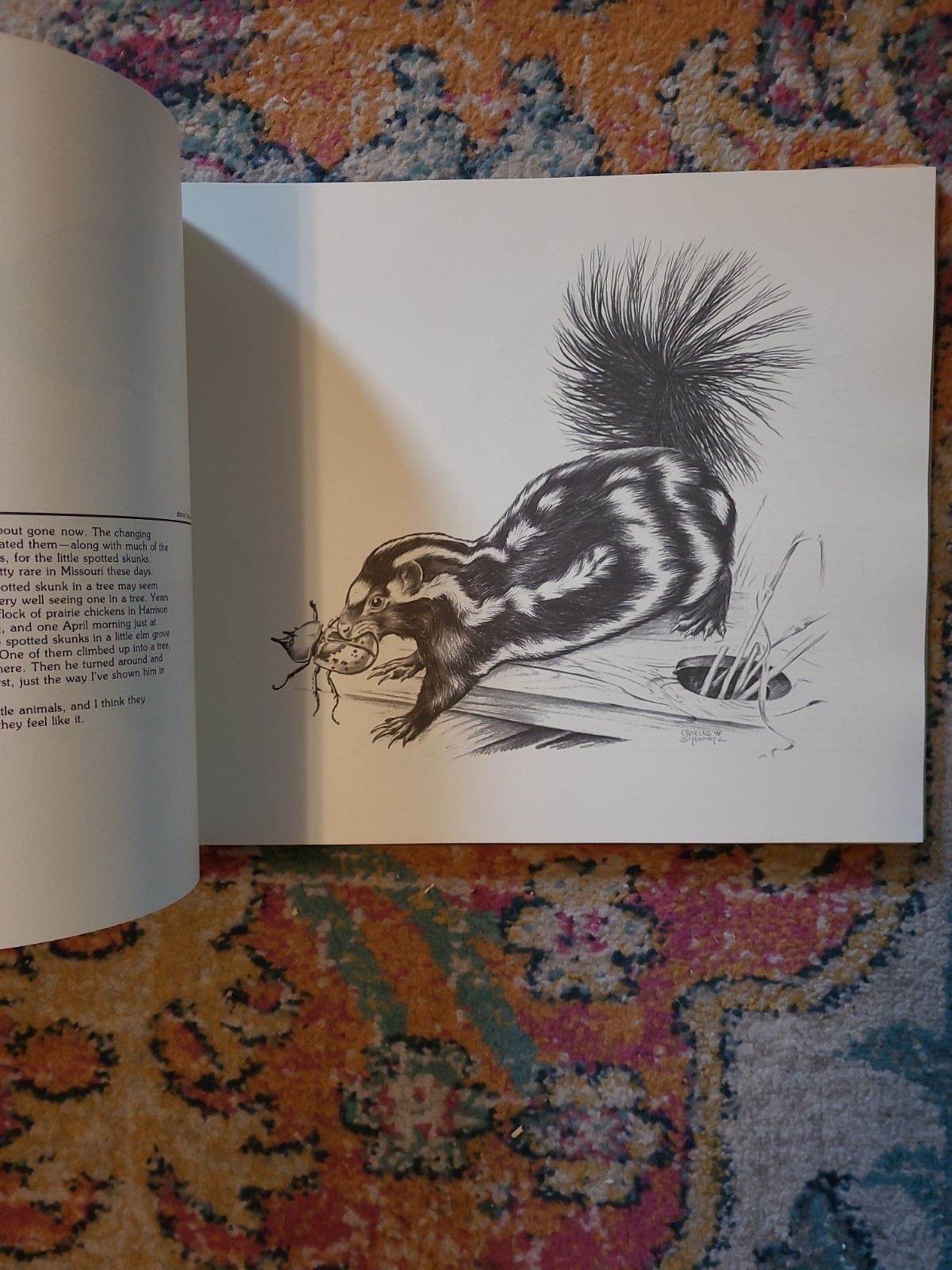 Charles W. Schwartz – WILDLIFE DRAWINGS – First Edition 1980 Dust Jacket Sketch