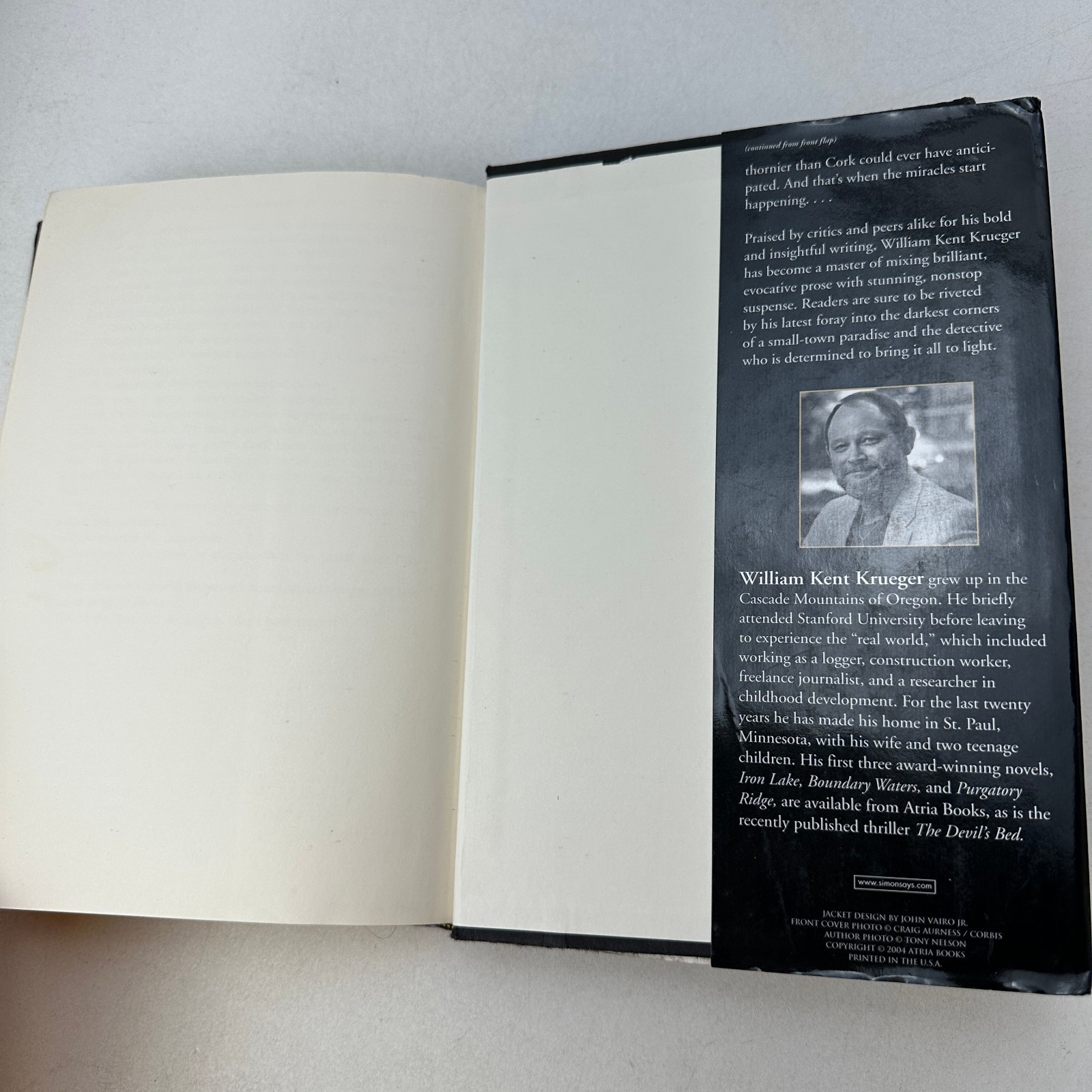 Blood Hollow by William Kent Krueger (2004, Hardcover) First Edition DJ