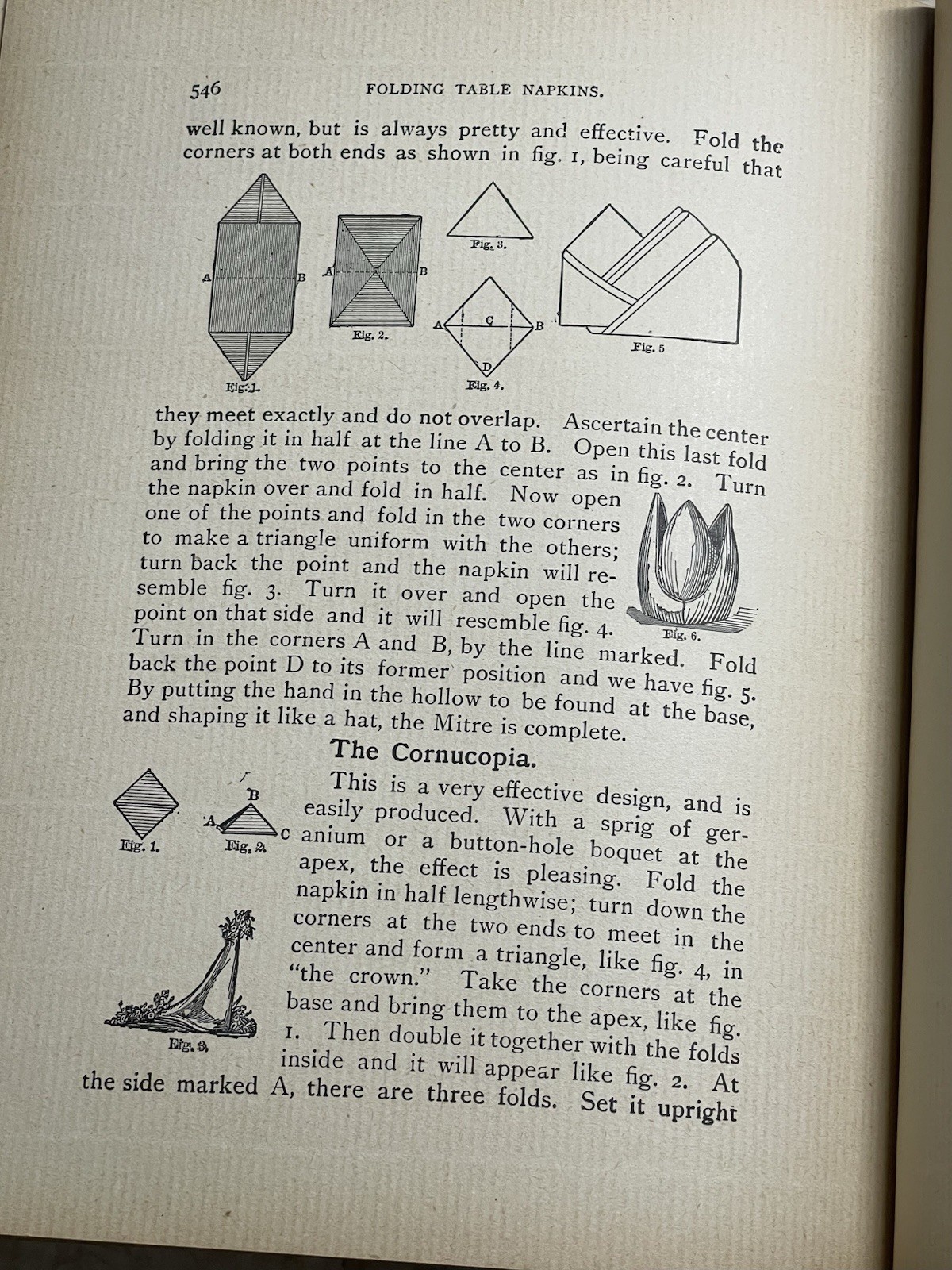 The Home Queen Cook Book 1898 Recipes Menus Housekeeping Laundry 608 Pages