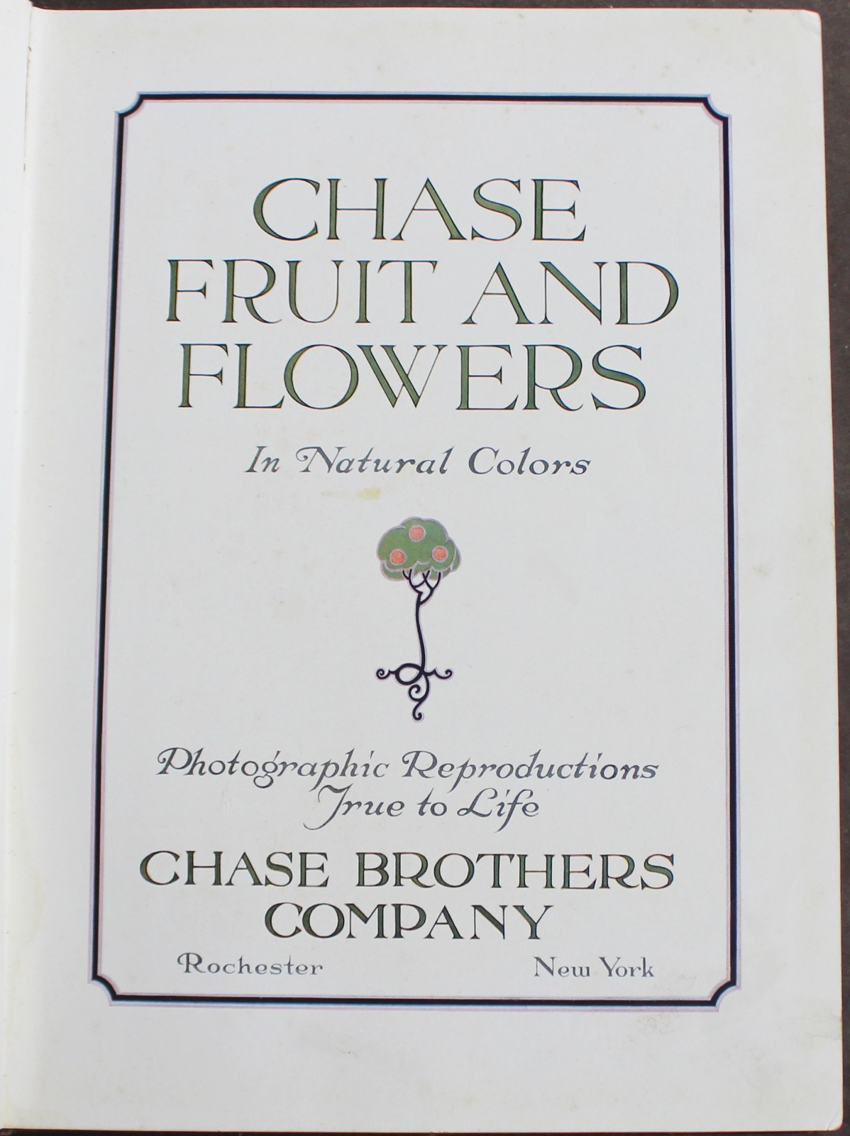 Rare Antique Old Book Chase Fruit Tree Flower Garden 1922 Vine Natural Nature ⭐