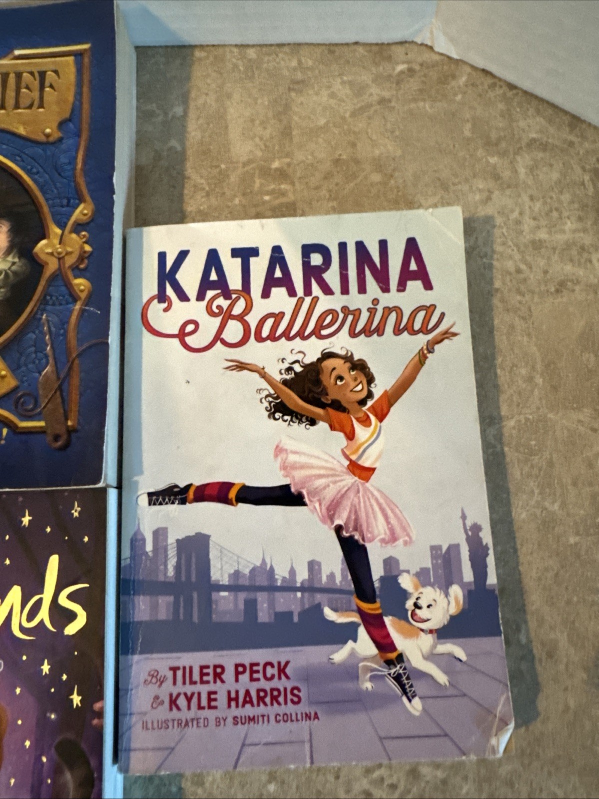 Teen Book Lot Of 5 Magic Thief, Star Friends, Katana Ballerina, Wolf Girl