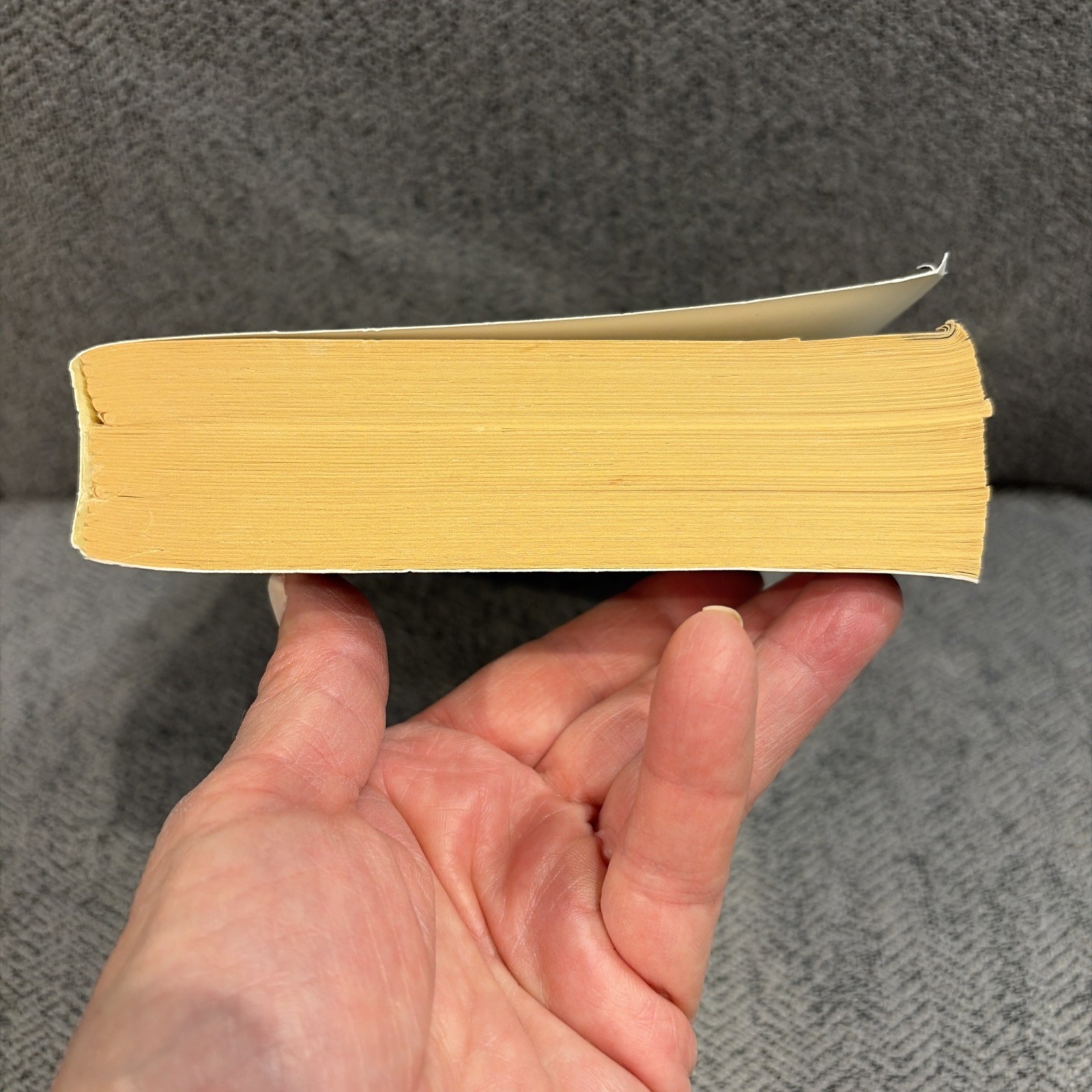White Oleander (Oprah’s Book Club) – Paperback By Fitch, Janet – Acceptable