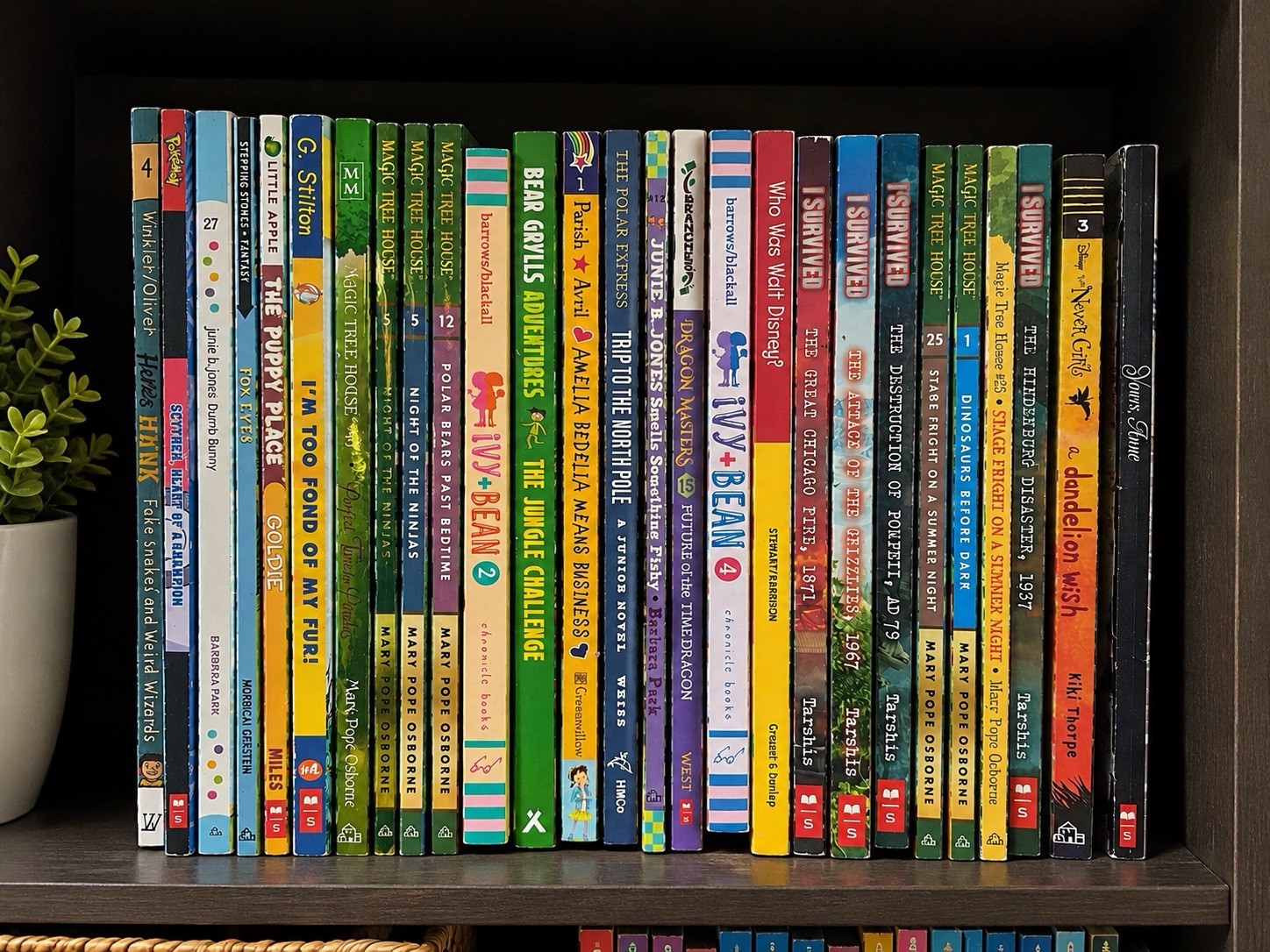 25 Kids Chapter Books Lot Magic Tree House I Survived Ivy Bean Dragon Masters