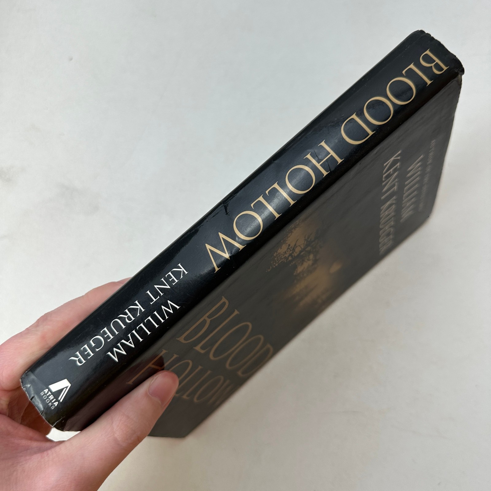 Blood Hollow by William Kent Krueger (2004, Hardcover) First Edition DJ