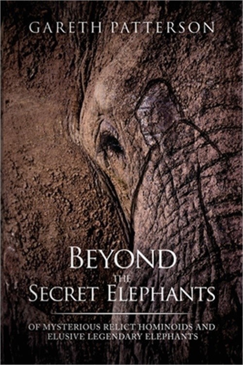 Beyond the Secret Elephants (Paperback or Softback)