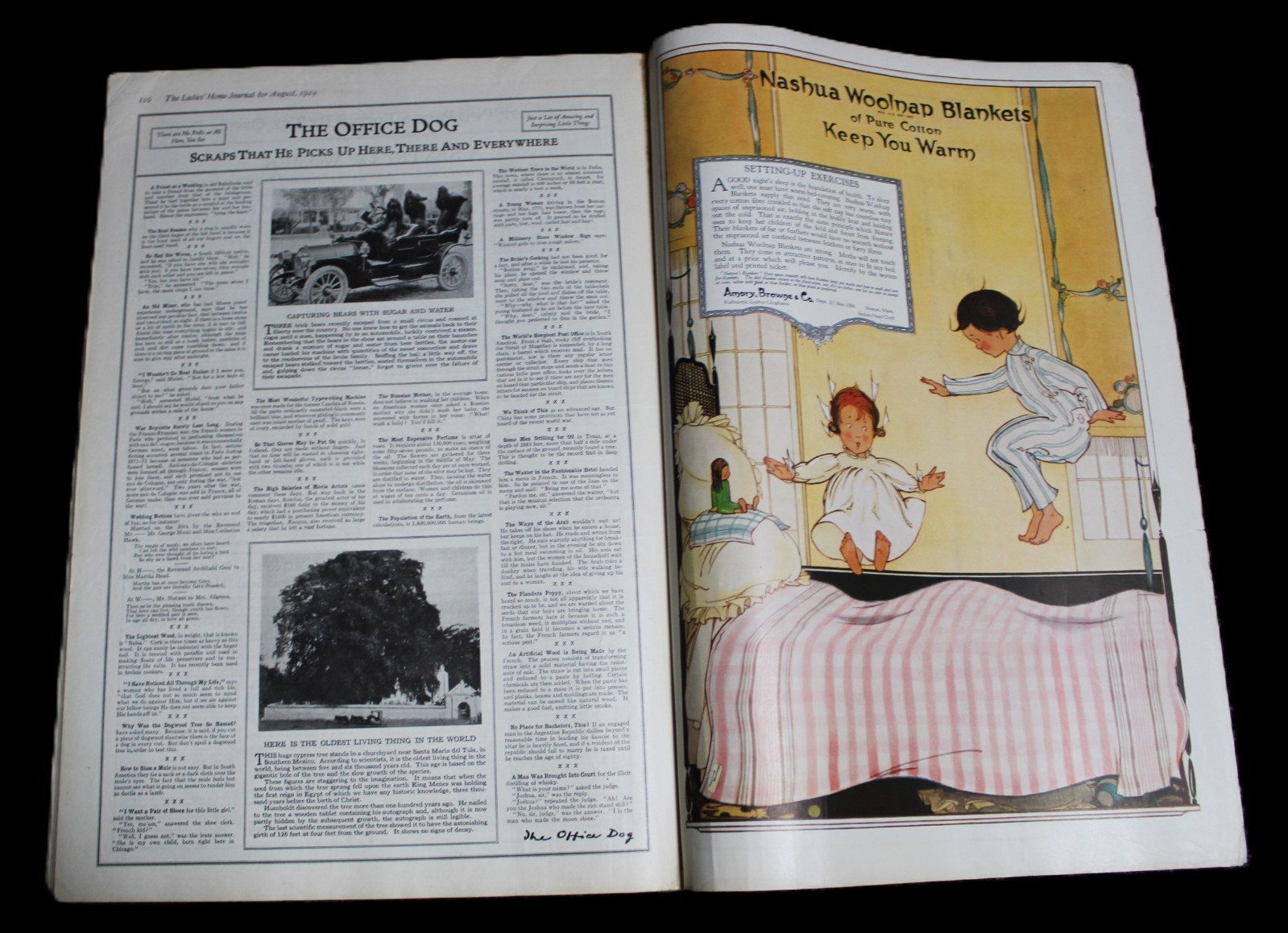 LADIES’ HOME JOURNAL MAGAZINE AUGUST 1919 WOMENS FASHIONS HOMEMAKING FICTION