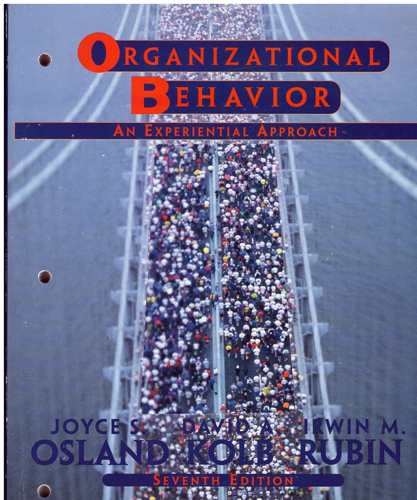 Organizational Behavior: An Experiential Approach