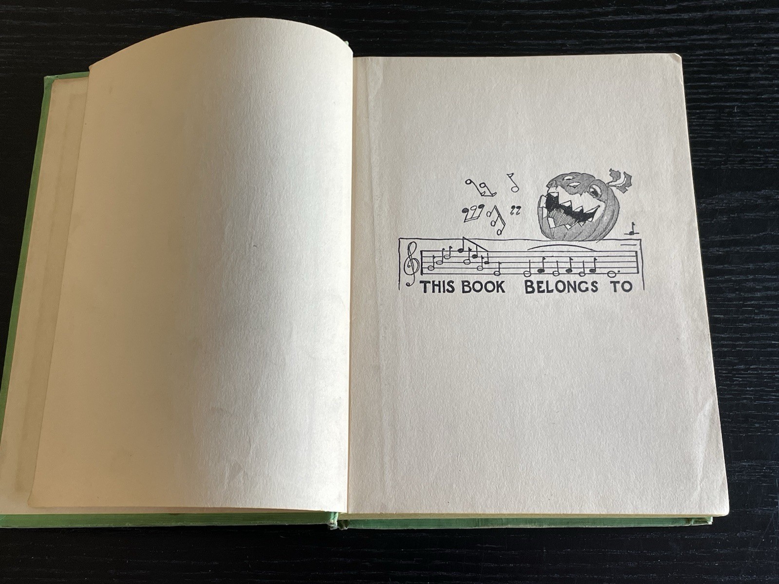 The GNOME KING of Oz, 1927 Ruth Thompson, First Edition, ALL 12 Color Plates
