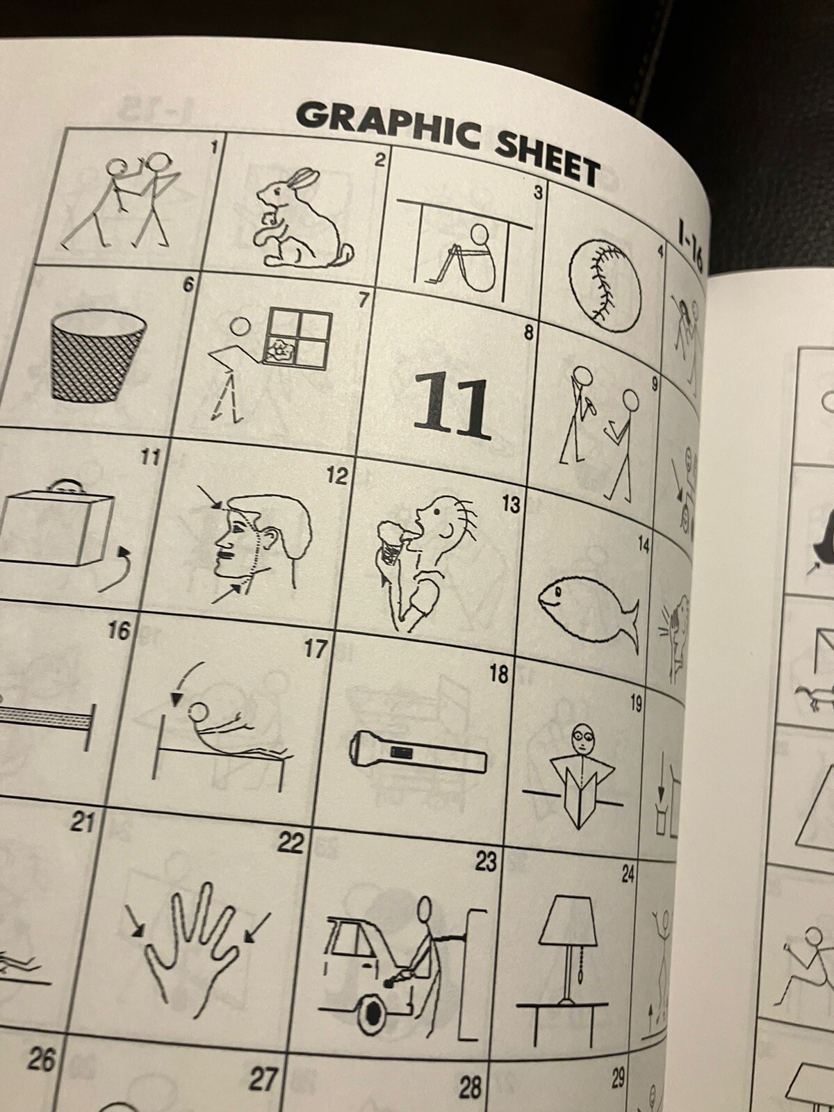 The Graphics Book for All Languages and Students of All Ages: With 60 Multiple-C